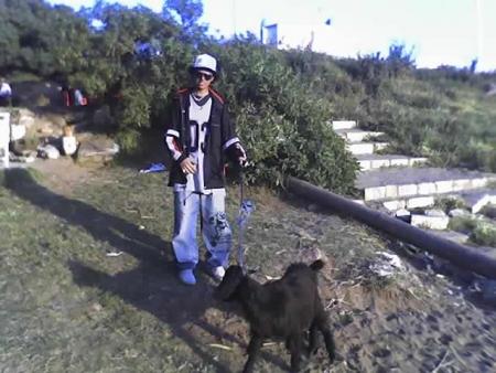 c avec mon bid bull