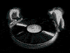 c loi c dj