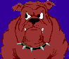 my dogg