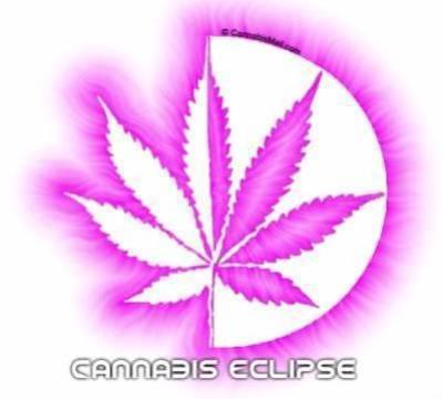 cannabis eclipse