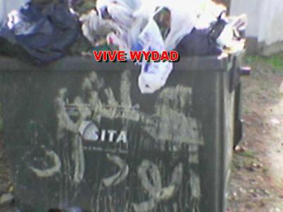 vive wac