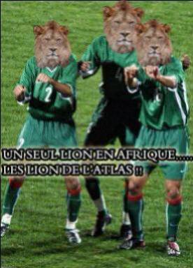 les lion s d'............