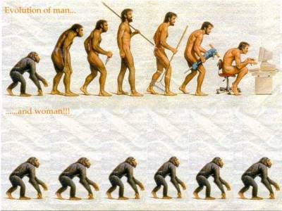 kelle evolution