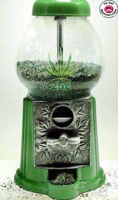 250 g